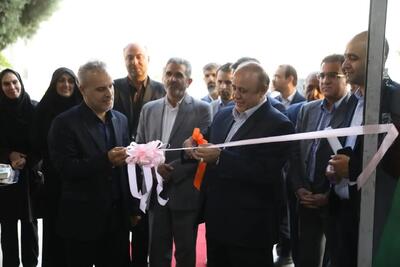 دومین جشنواره شیرینی سنتی و باقلوای قزوین افتتاح شد/ قزوین در مسیر تبدیلشدن به پایتخت شیرینی سنتی ایران