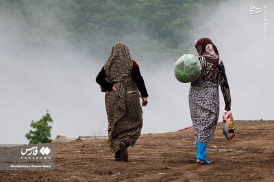 بیمه زنان روستایی، مطالبه مهم زنان استان زنجان |  انصاف نیوز