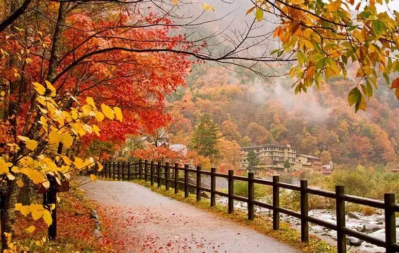 پاییز زودهنگام از جمعه/ شمالغرب و البرز میزبان سرما و بارندگی
