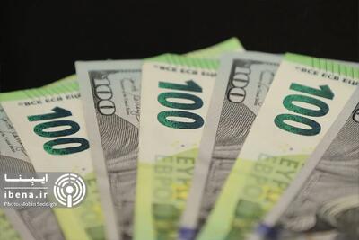 ارائه تسهیلات ارزی از محل منابع بانکها برای واردات کالاهای اساسی