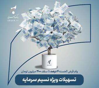 تشریح جزئیات پرداخت تسهیلات قرضالحسنه تا سقف ۳ میلیارد ریال در بانک سرمایه