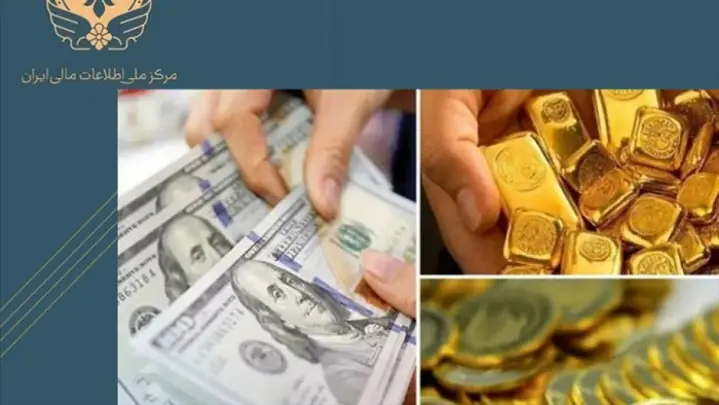  آغاز فاز جدید برخورد قاطع با اخلال‌گران بازار ارز و طلا