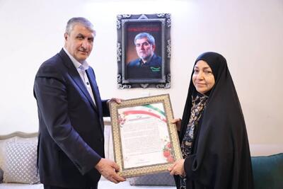 دیدار معاون رییسجمهور با خانواده شهید «دکتر فریدون عباسی