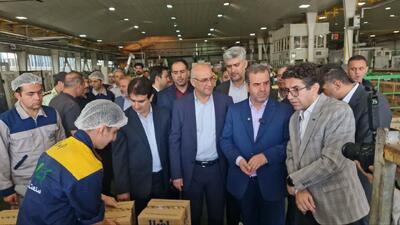  تعزیرات حکومتی از تولیدکنندگان کالاهای اساسی حمایت می‌کند