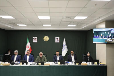 مجلس ماده ۲ طرح مقابله با نفوذ بیگانگان را با اصلاحاتی تصویب کرد