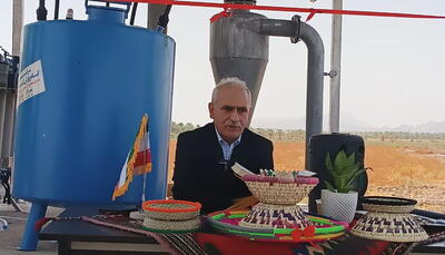 معاون وزیر جهاد کشاورزی: جنوب کرمان ظرفیت تبدیل شدن به هاب کشاورزی و بازرگانی کشور را دارد