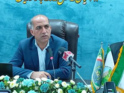 افتتاح ۱۲ پروژه منابع طبیعی جنوب کرمان در هفته دولت/ تأکید بر کاشت گونههای بومی