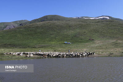 ۸ پروژه بزرگ عمرانی و خدماتی در مناطق عشایری گیلان افتتاح میشود