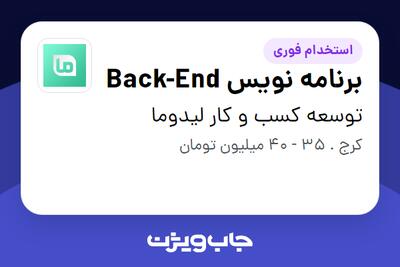 استخدام برنامه نویس Back-End در توسعه کسب و کار لیدوما