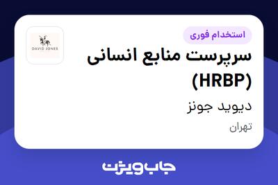 استخدام سرپرست منابع انسانی (HRBP) - خانم در دیوید جونز