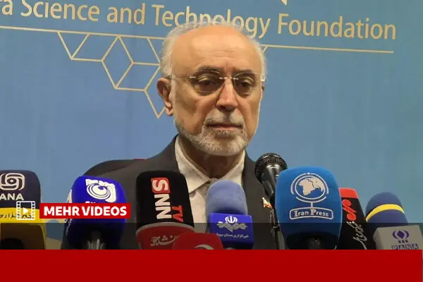  صالحی: مجلس در طرح مقابله با نفوذ بیگانگان تجدیدنظر کند
