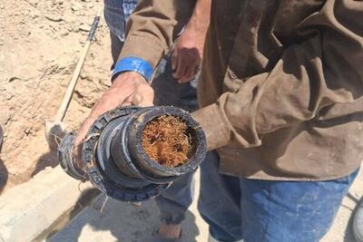  گرفتگی ناشی از ریشه درخت در شبکه آب روستای «تولکی‌تپه» رزن رفع شد