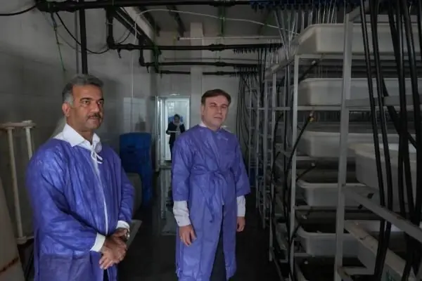رونق اقتصاد دانشبنیان در تنگستان؛ توسعه واحدهای آبزی پروری