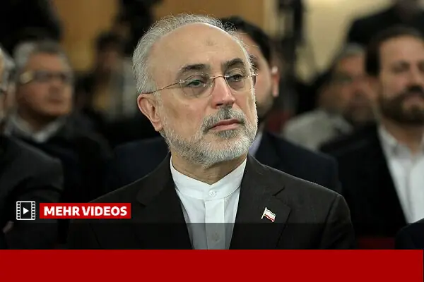  صالحی: یکی از ماموریت‌های جایزه مصطفی کشف دانشمندان جهان اسلام است