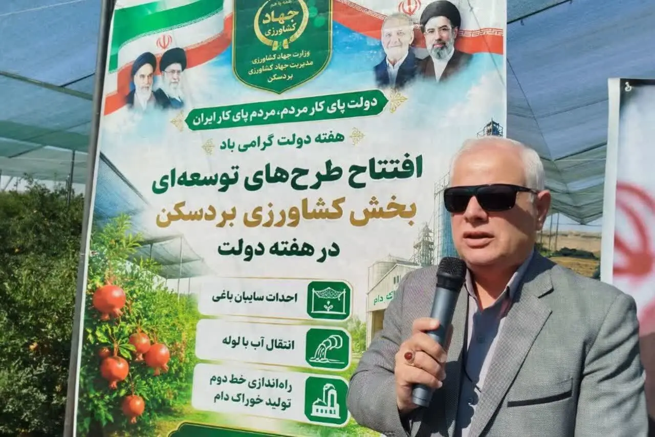 تولید غلات در خراسان رضوی ۴۳ درصد افزایش یافته است