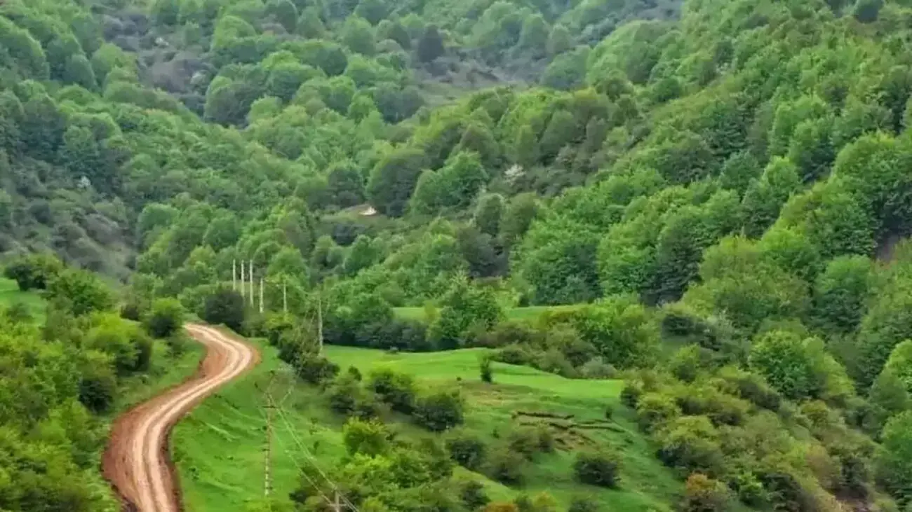 داماش؛ روستایی بالاتر از ابرها / راهنمای کامل سفر به ییلاق رودبار