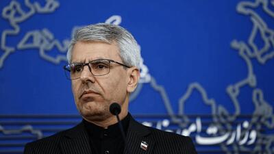 هشدار بقائی به تبعات سکوت کشورها در برابر قلدری آمریکا