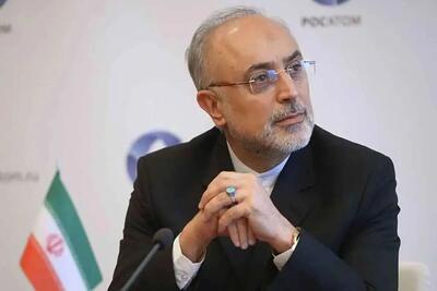 علی اکبر صالحی: نمیتوانیم درِ کشور را ببندیم و فکر کنیم که در درون میتوانیم سقف علمی و اقتصادی را بالا ببریم - سلام نو