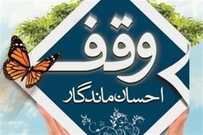 شعار هفته وقف در سال ۱۴۰۵ اعلام شد | فعالیت بیش از ۲۱۶ هزار موقوفه