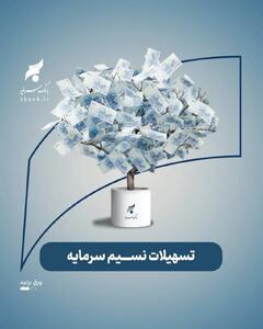 تشریح جزئیات پرداخت تسهیلات قرضالحسنه تا سقف ۳ میلیارد ریال در بانک سرمایه
