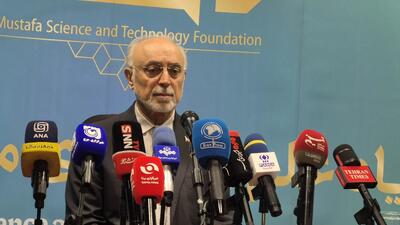 صالحی: مجلس در طرح مقابله با نفوذ بیگانگان تجدیدنظر کند/ این طرح موانعی در برقراری ارتباطات علمی ایجاد میکند + فیلم