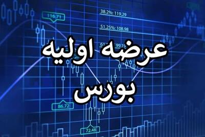  دوازدهمین عرضه اولیه بازار سهام