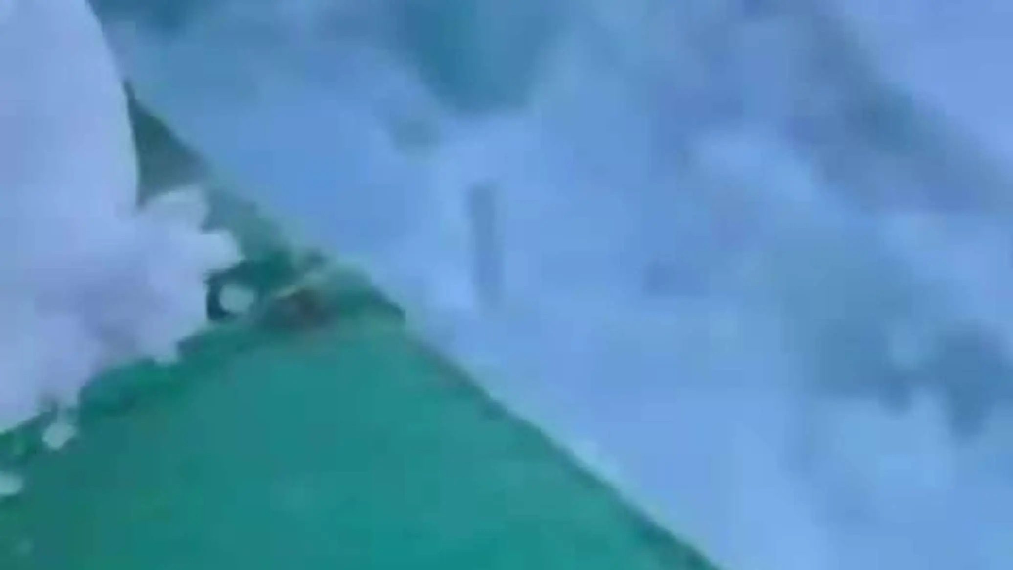 خرس قطبی پس از نزدیک شدن به خدمه یک کشتی در امتداد مسیر دریای شمال روسیه، آنها را فراری داد