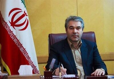 سقف تسهیلات پرداختی به هنرمندان صنایع دستی 400 میلیون تومان است - تسنیم