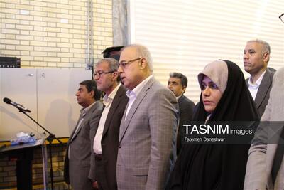 بهرهبرداری از پست 230 کیلوولت گلزار بندرعباس با اعتبار 3600 میلیاردی - تسنیم
