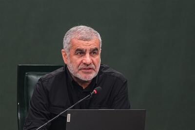 نیکزاد: وحدت ملی رمز عزت و ایستادگی ایران در برابر دشمنان است - تسنیم