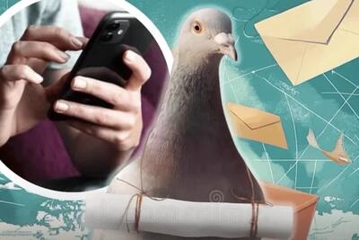 بازگشت کبوترهای نامهبر به دنیای پیامرسانها