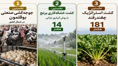 تحقق اولینهای کشاورزی در میاندورود