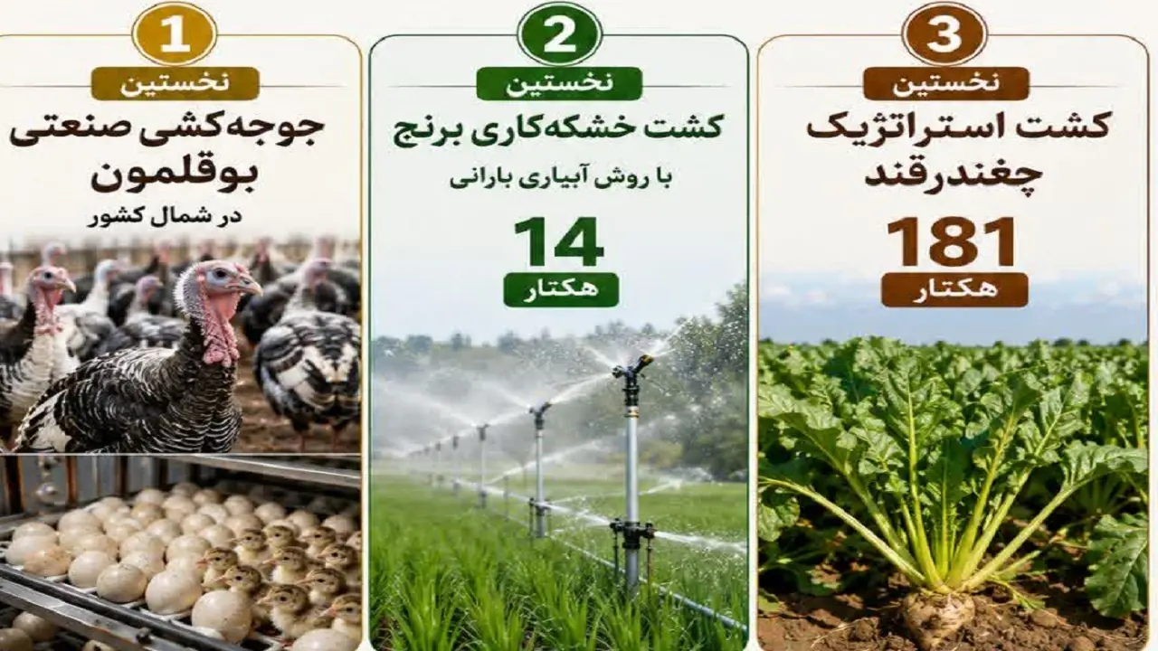 تحقق اولینهای کشاورزی در میاندورود
