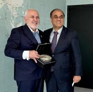  دیدار سفیر پاکستان با ظریف