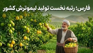  فارس، رتبه نخست تولید لیموترش در کشور | آخرین خبر