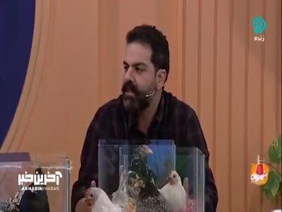  ۶۲ گونه مرغ زینتی ثبت شده است | آخرین خبر