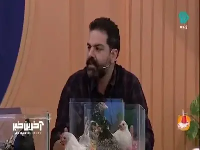  ۶۲ گونه مرغ زینتی ثبت شده است | آخرین خبر