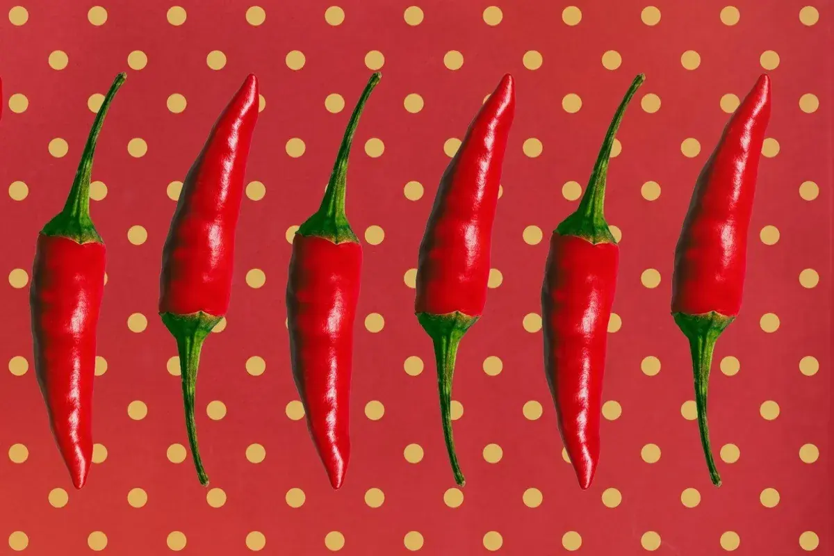 هشدار درباره مصرف فلفل؛ غذاهای تند خطر یکی از مرگبارترین سرطانها را ۳ برابر میکنند