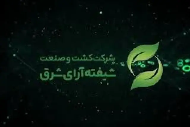  درآمد مرداد «شیفته» بیش از ۳ برابر شد