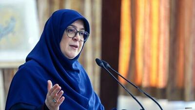  مهاجرانی: رسایی سرباز نظام نیست؛ ظریف سرباز نظام است