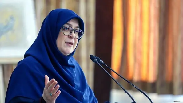 مهاجرانی: رسایی سرباز نظام نیست؛ ظریف سرباز نظام است