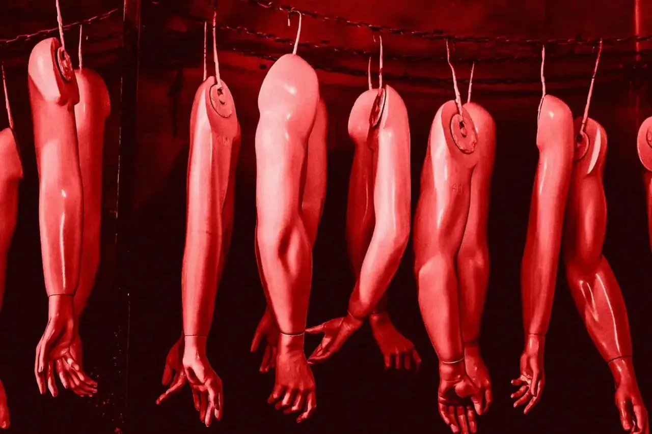 قطعه قطعه کردن جامعه؛ هشدار تند استاد هاروارد در مورد تاثیر تاریک هوش مصنوعی