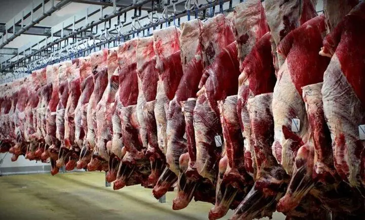 قیمت گوشت قرمز امروز چهار‌شنبه ۴ شهریور  ۱۴۰۵