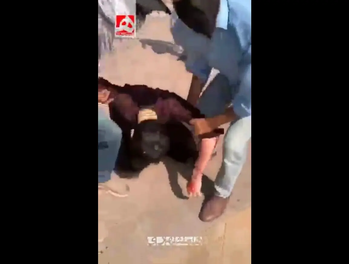 تصاویر دلخراش از لحظه شهادت جوانان پاکستانی؛ ۱۰ اسفند ۱۴۰۴ | ویدئو