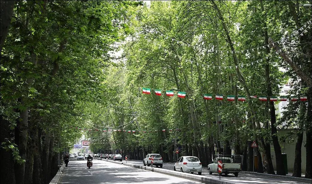  کاشت بیش از ۳۰۰ اصله درخت چنار برای حفظ زیبایی خیابان ولیعصر
