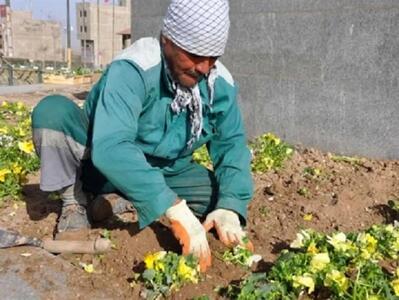  یک طرح نصفه‌نیمه را به جای «ساماندهی» قالب کردند/ از پرداخت مستقیم در شهرداری بناب خبری نیست