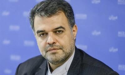 پیام سخنگوی قوه قضاییه به مناسبت هفته دولت