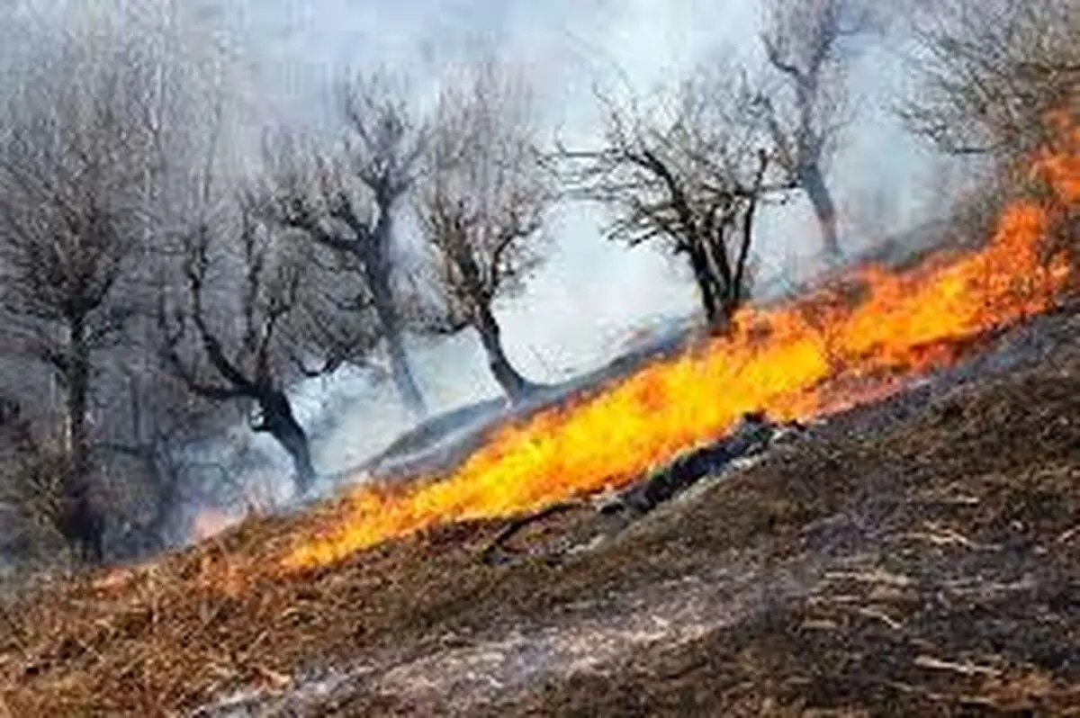 مهار آتشسوزی گسترده در منطقه جنگلی و کوهستانی زاگرس