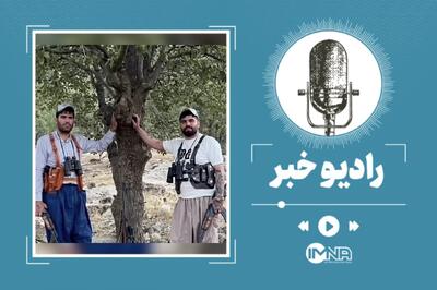  برادران نجفی که بودند؟ پایان کار اعضای باند سرقت‌های مسلحانه ایران