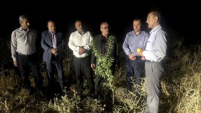 روستای ده برآفتاب مصداق استقبال مردم از طرح جنگلداری اجتماعی در کهگیلویه و بویراحمد است